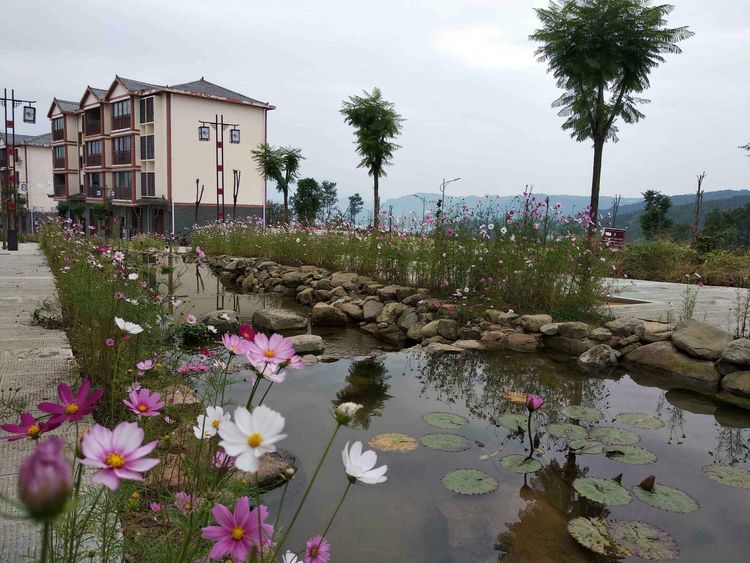 武陵镇水景街