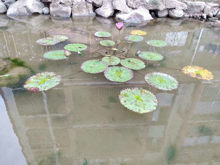 武陵镇水景街