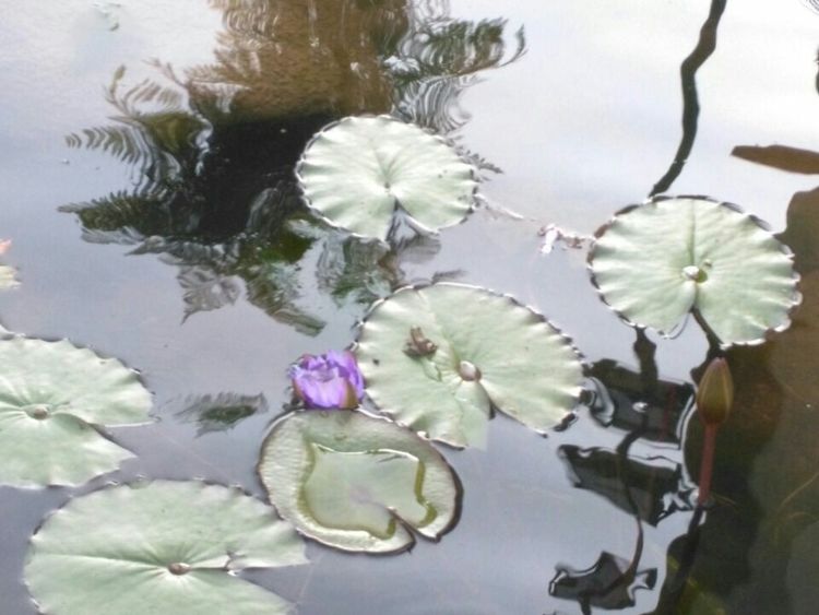 武陵镇水景街
