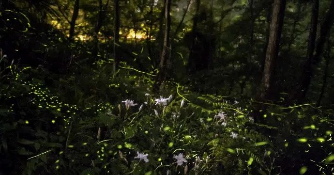 7b057caa97aa7f00196f0826253631dd.jpg