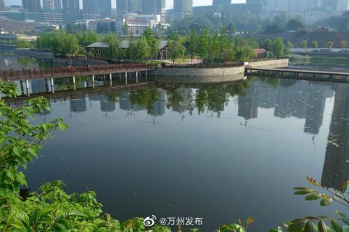 b12c5d46ly1gglyzjk3npj20dw099q3p.jpg