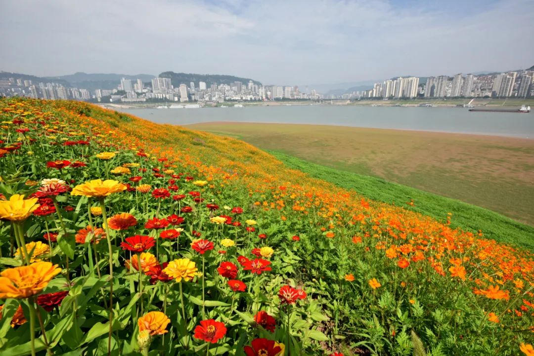 白鹭湾湿地公园