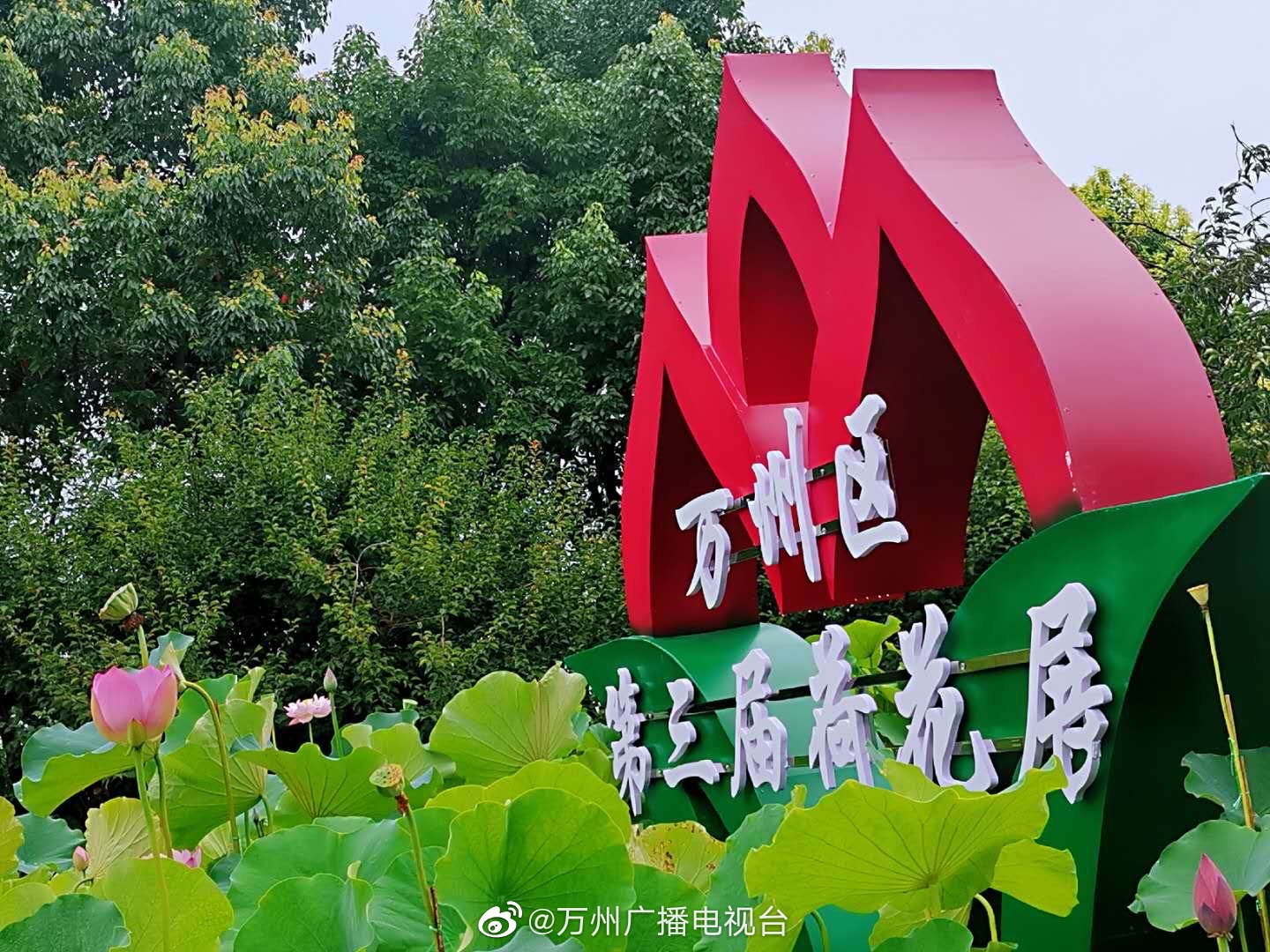万州区第三届荷花展