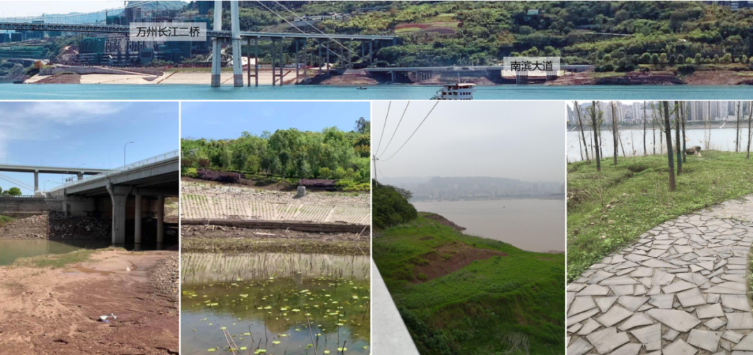 白鹭湾湿地公园