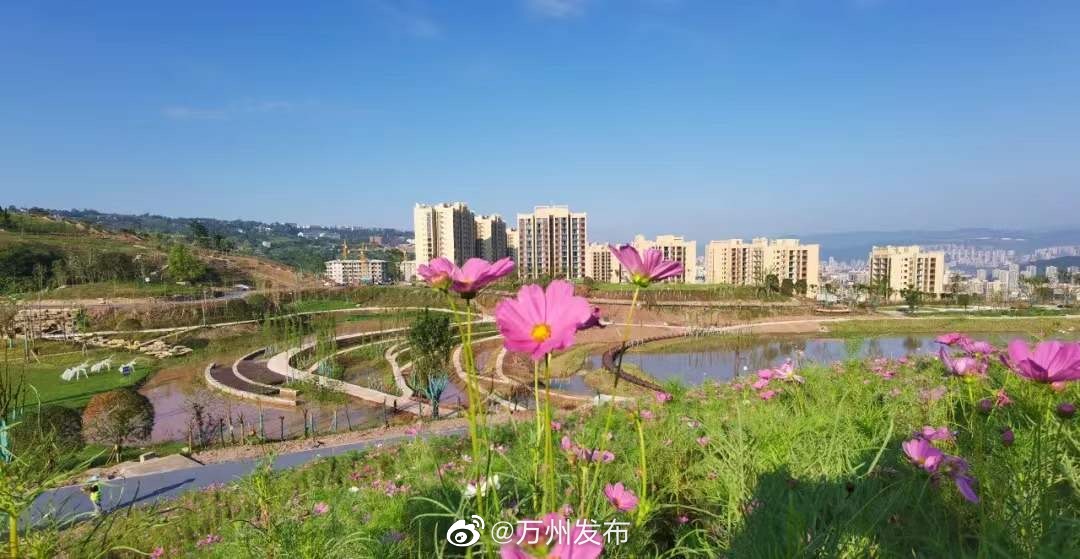 五桥白岩寨公园
