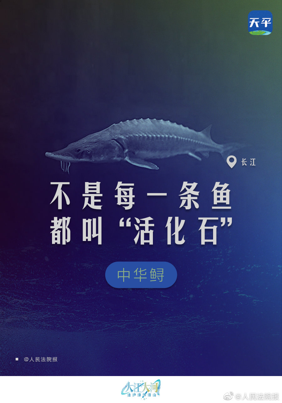 003zaowBly1gl84bg5bszj60p00zqhdt02.jpg