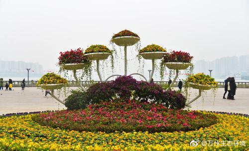 8687f469gy1gm3c98mfmwj20dw08fqa0.jpg