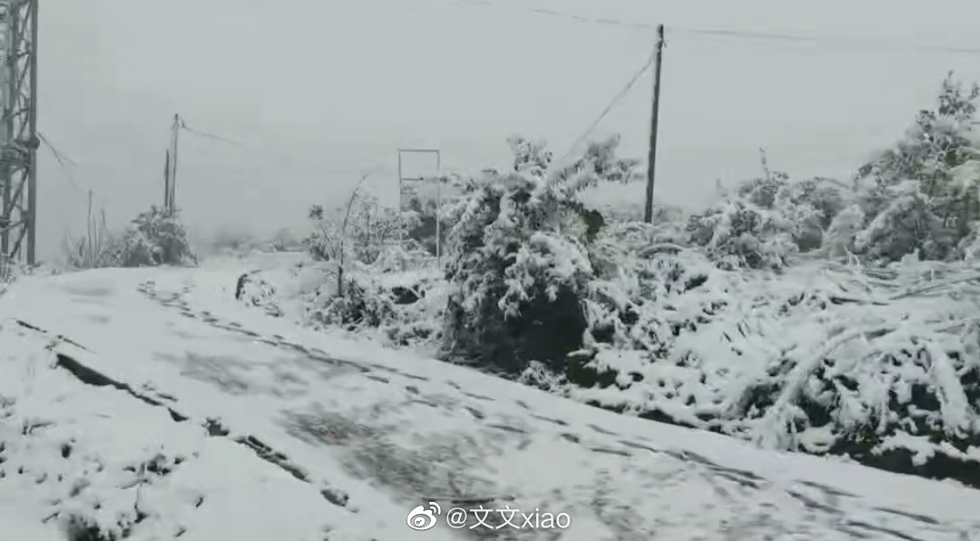 0C5B08FA-1664-4BD0-BF0A-62C12E07C439.jpeg