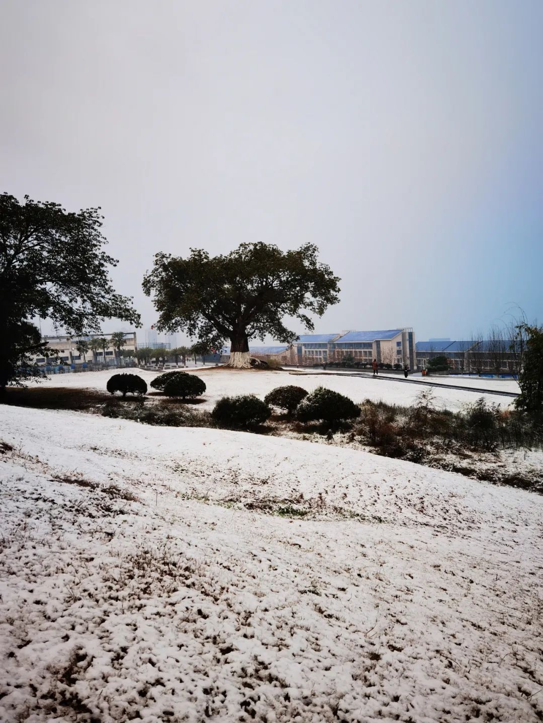 640?wx_fmt.jpeg