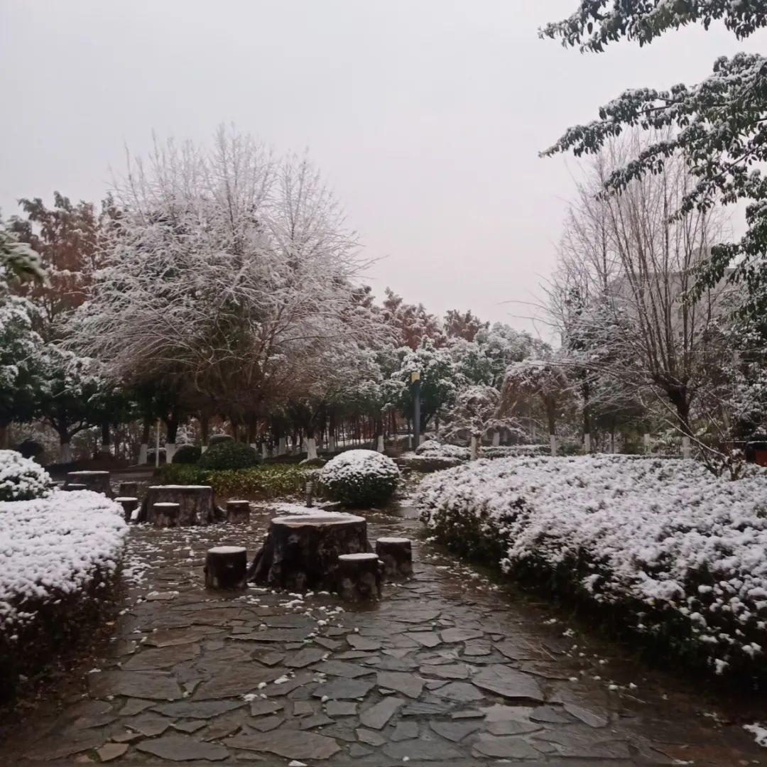 640?wx_fmt.jpeg