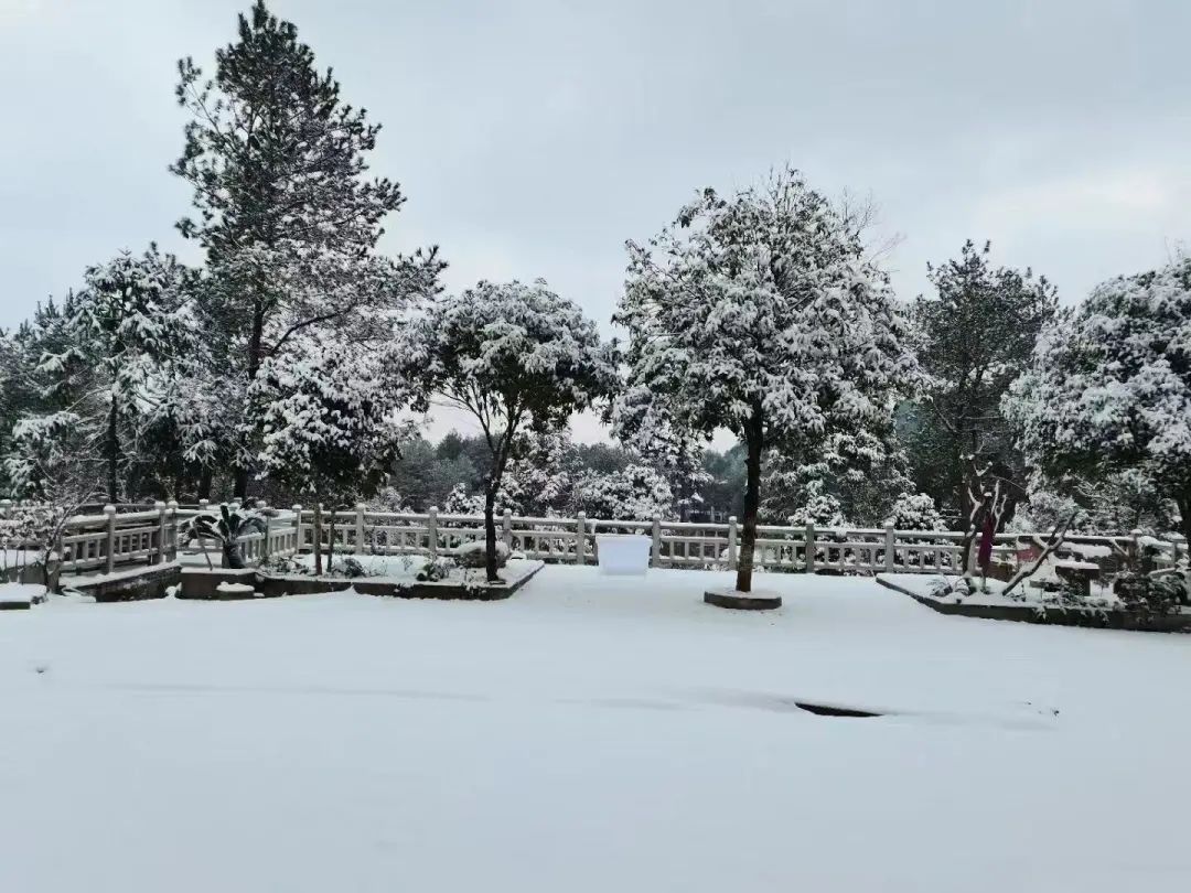 640?wx_fmt.jpeg