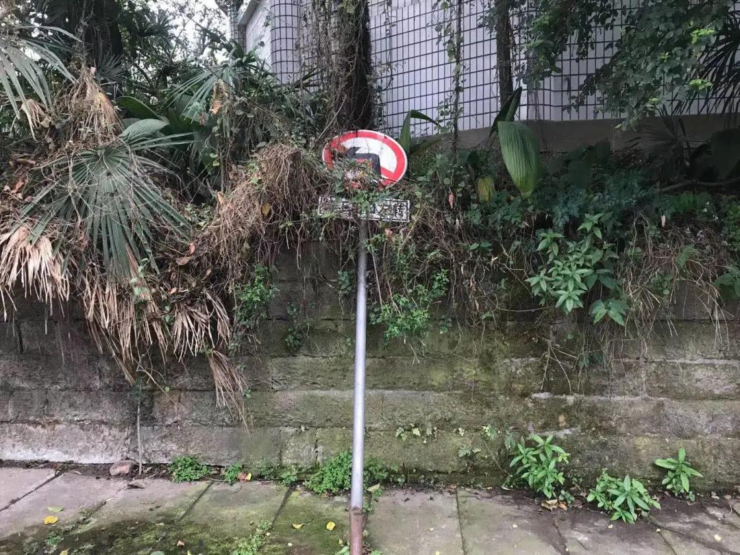 三峡学院老校区