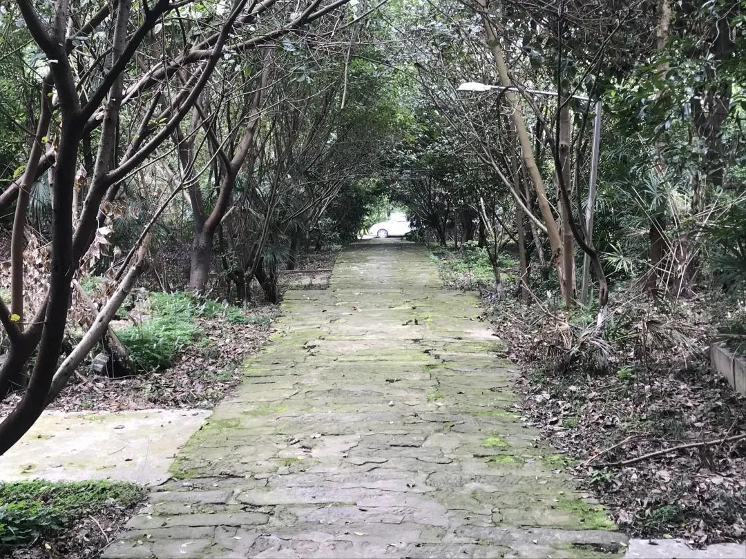 三峡学院老校区