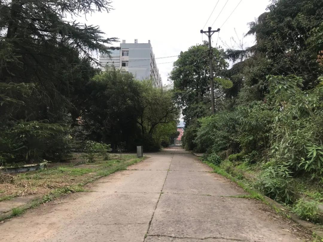 三峡学院老校区