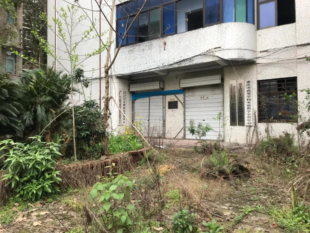 三峡学院老校区
