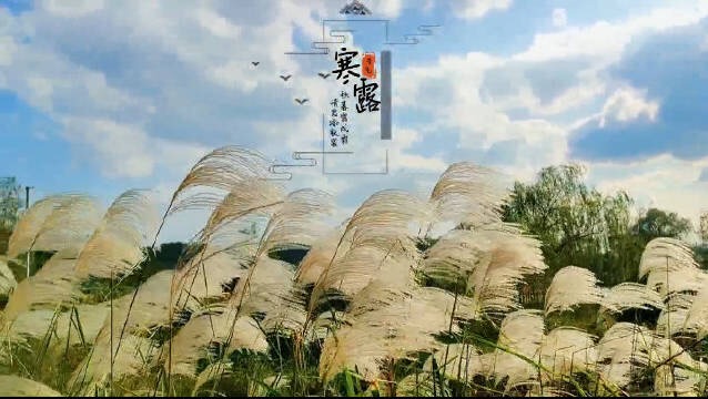 6E7C718D-42BD-486D-8B09-F29521EAC248.jpeg