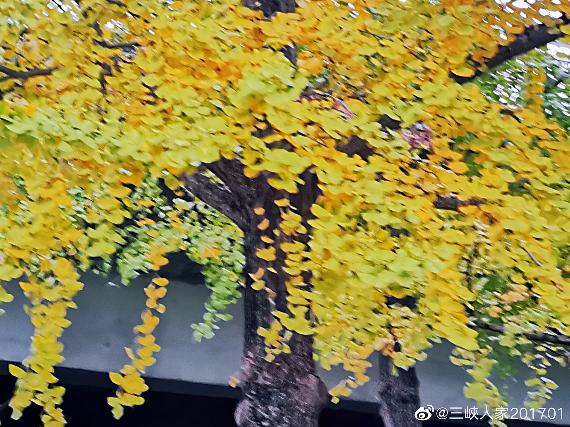 8D3E41D6-BA75-42F6-AA9A-B8D37C43EEA0.jpeg