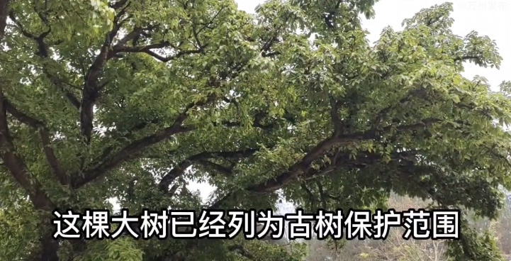 D10BE730-4A99-4CA3-B948-F385931C06F7.jpeg