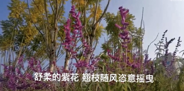 DE3BE1E2-4D43-4C0B-B254-5B1A7332C504.jpeg