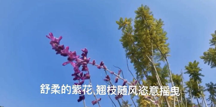 A9901B7B-CF0A-4F86-A5F8-9C9F7ACB43C8.jpeg