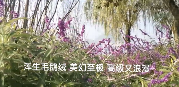 94CC305B-FCD1-4FF3-A68D-9574B81B69B3.jpeg