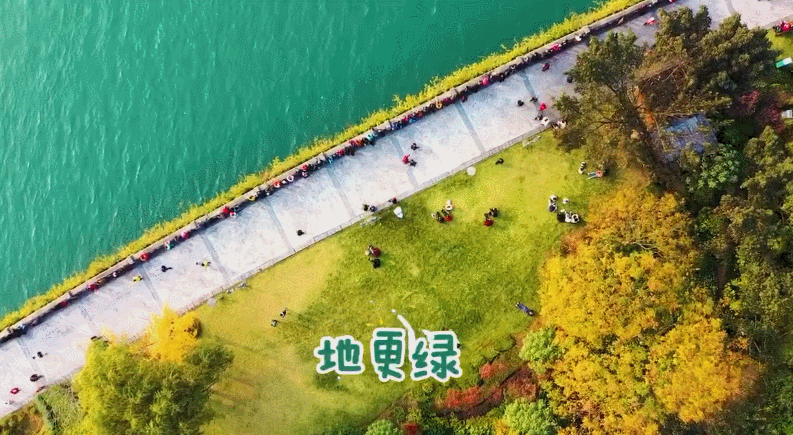 b12c5d46gy1gxs7lqowujg20m10c3he0.gif