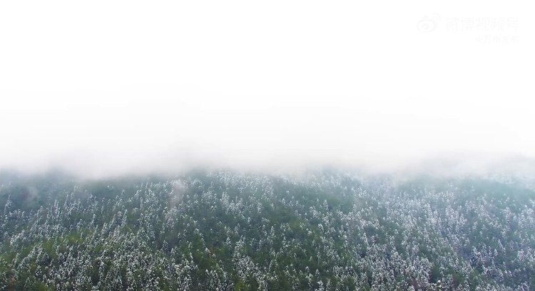 8A64D923-3AF4-4FBF-ACB4-E669F29F8E3E.jpeg