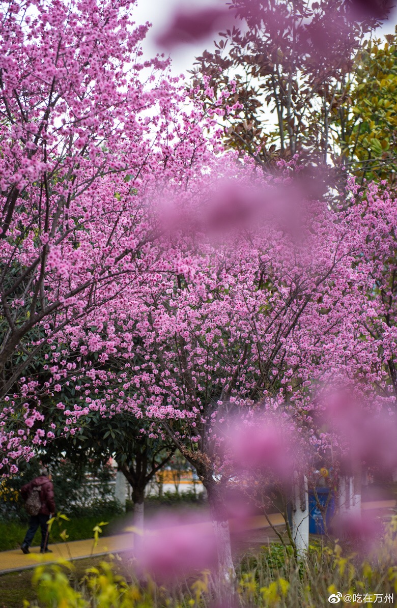 1021655A-DAA4-47F2-A630-8A5F5DC8A674.jpeg