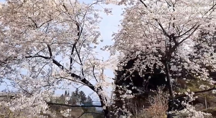 DF221E57-7AA8-4C6F-A663-51CD94392FF2.jpeg