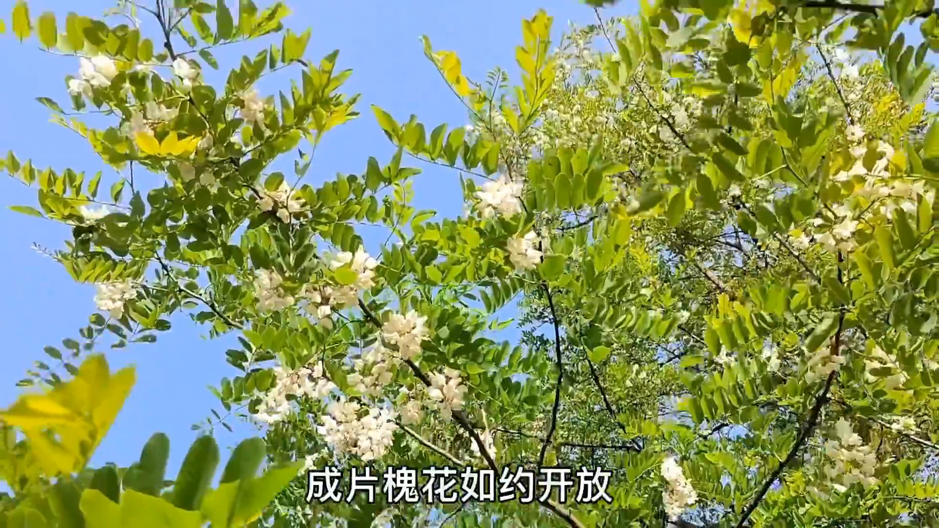 b12c5d46gy1h1agfwumjqj21hc0u0tze.jpg