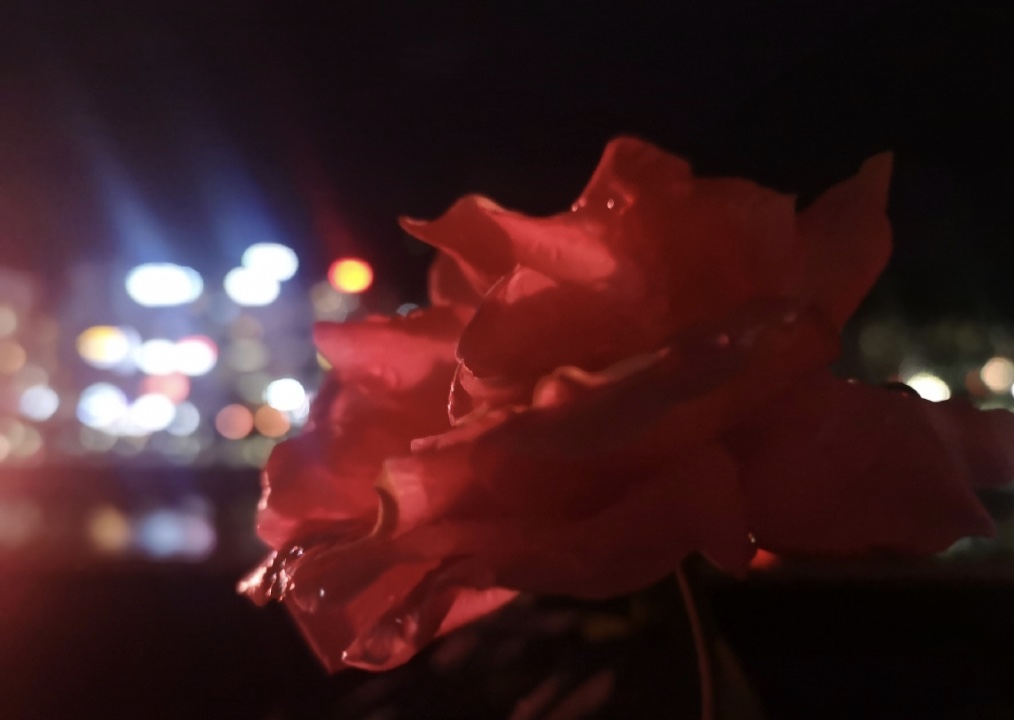 06CEEE4F-4A5C-4249-B02A-2089AF46A492.jpeg