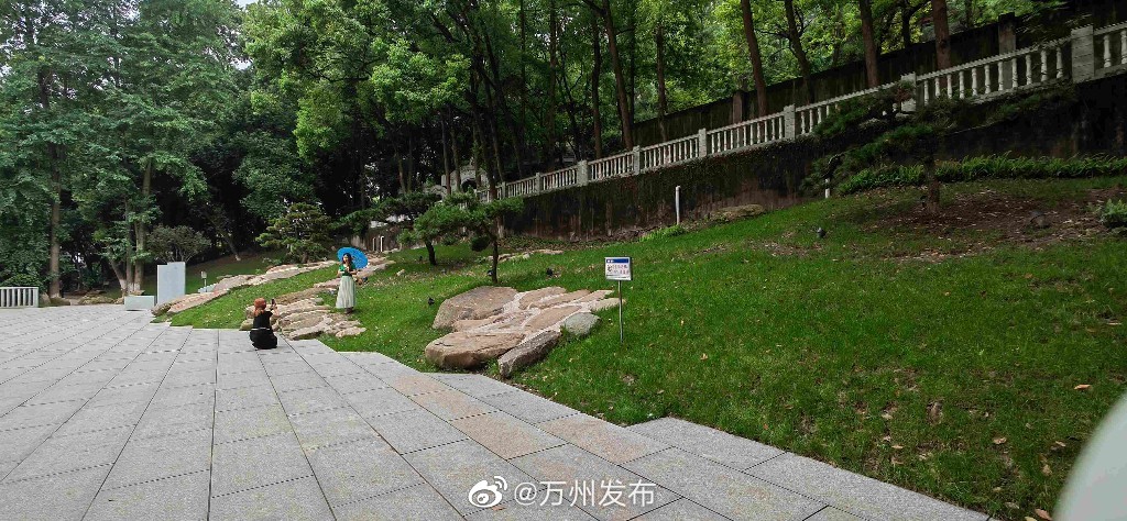 b12c5d46ly1h2qg97iuohj20sg0d60yp.jpg