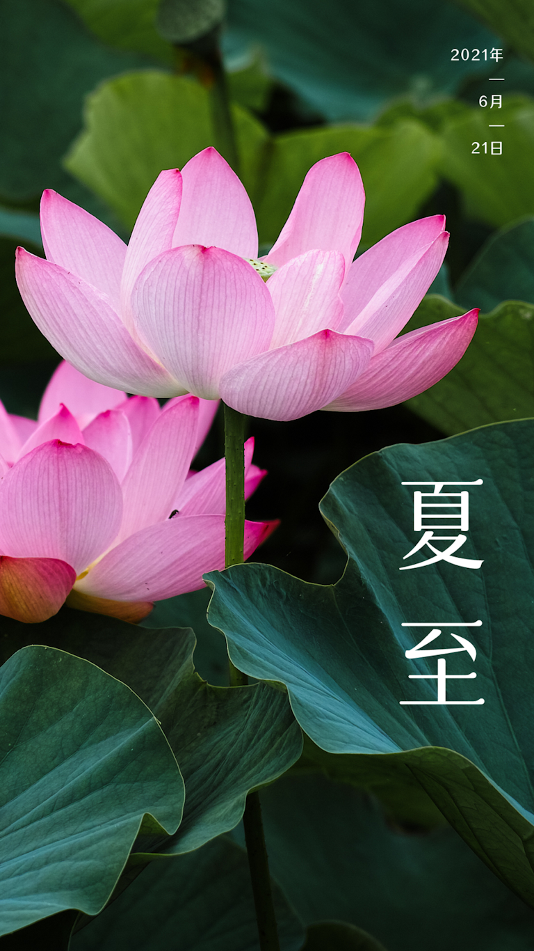 F19988FC-E10E-4B3D-B734-E6042EF5CA65.png