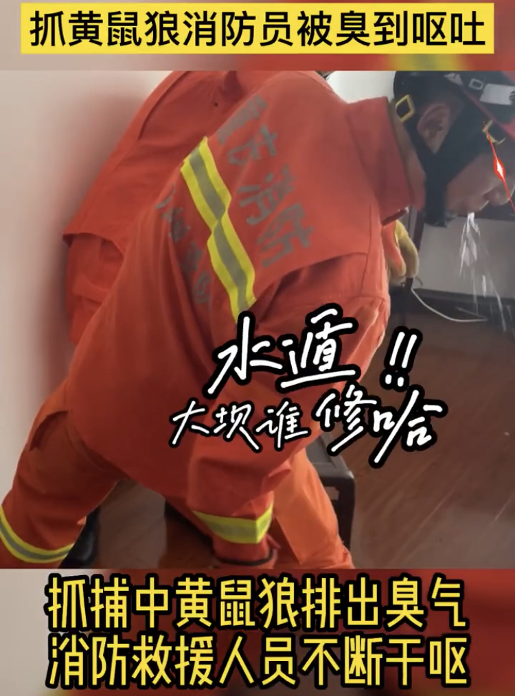 1BCECF7E-6F23-42BD-98AF-781E00F3CB66.jpeg