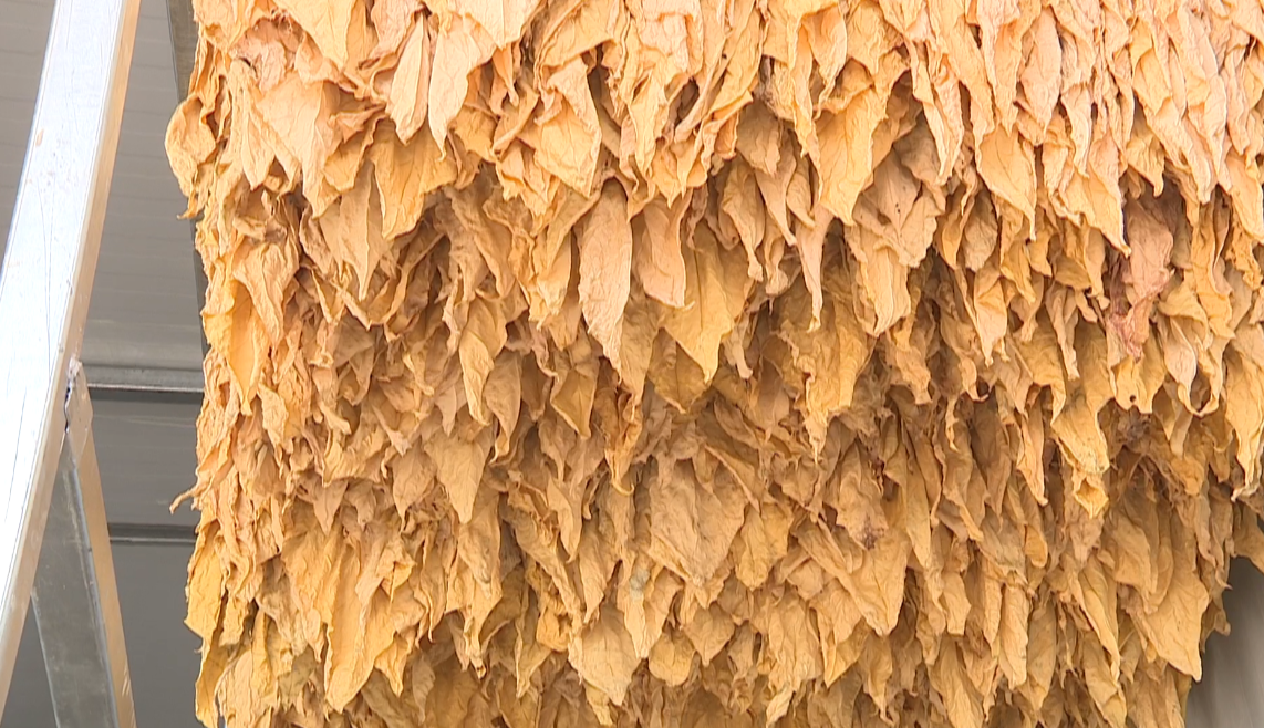 b52e0d69-4d60-4c87-814b-b643106ebb4c.png