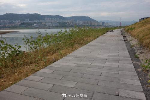 b12c5d46ly1h5s2fv7xgxj20dw0990t5.jpg