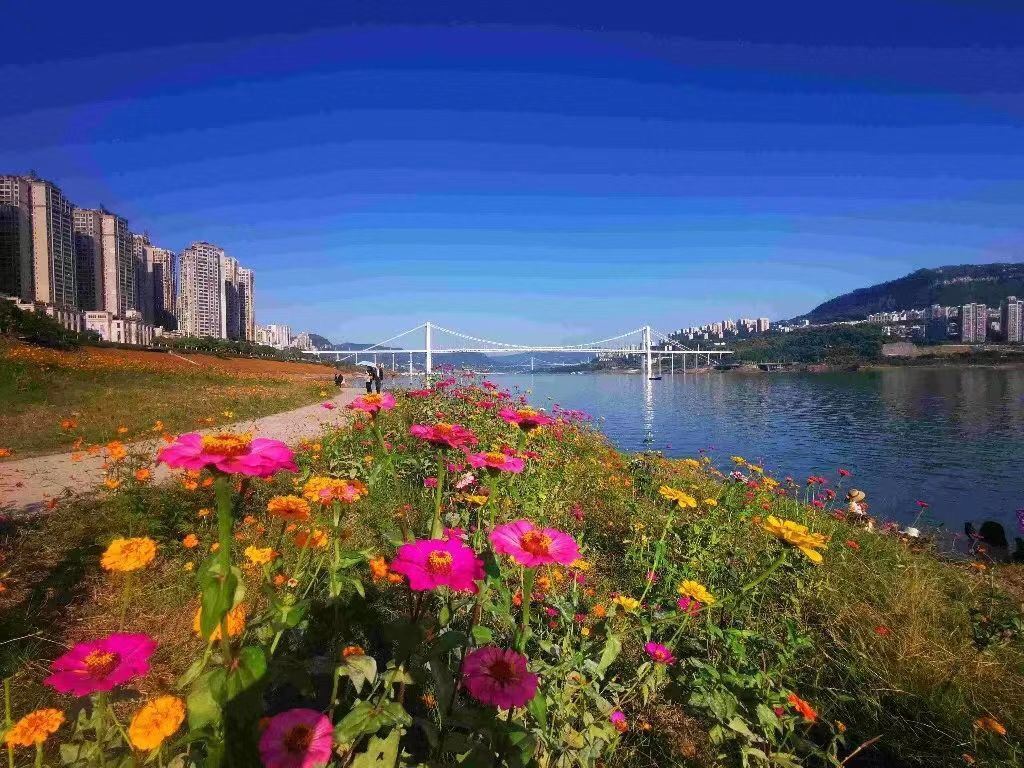 EC312E5C-F282-49B6-AA82-823BB1457649.jpeg