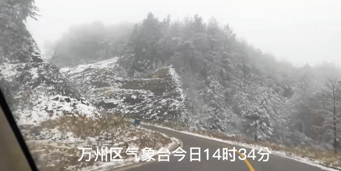 1B3F6370-8312-4A86-A5DA-5968BFDDE403.jpeg