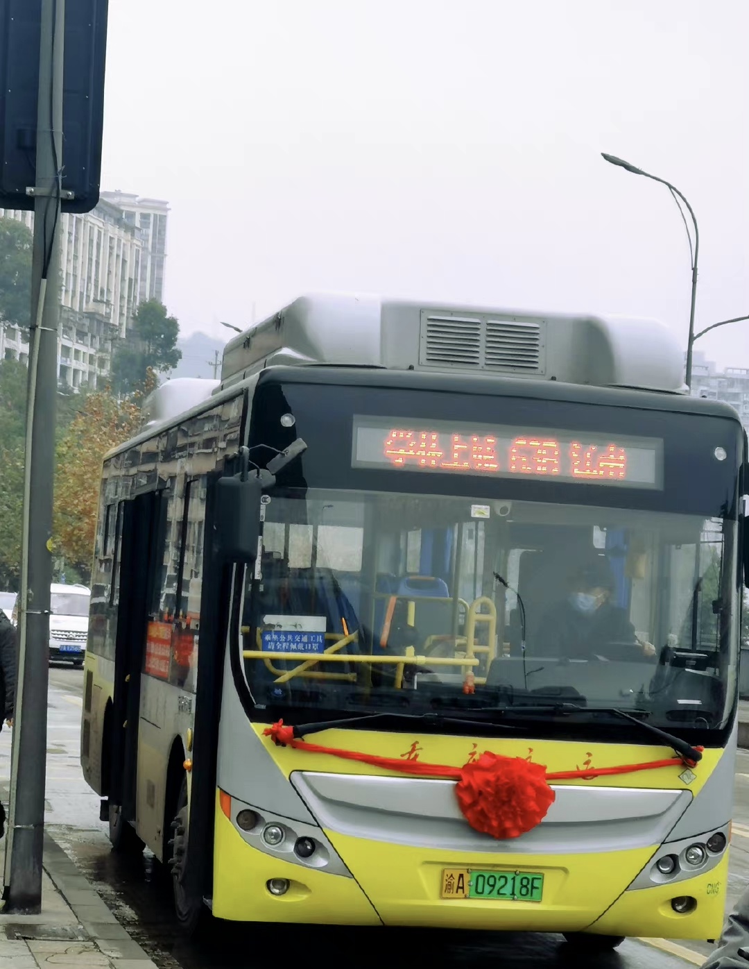 9214521E-D6FD-4DCC-B5C5-9ADCDCF95562.jpeg