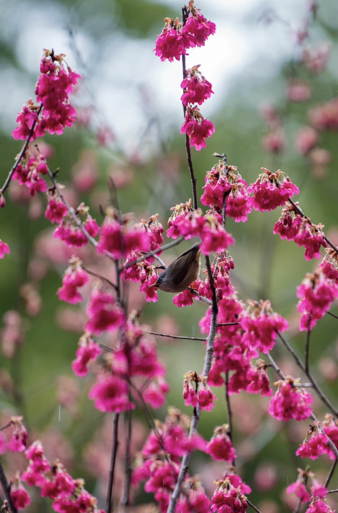 D8A72282-12EE-4F66-93E1-51D7A037440E.jpeg