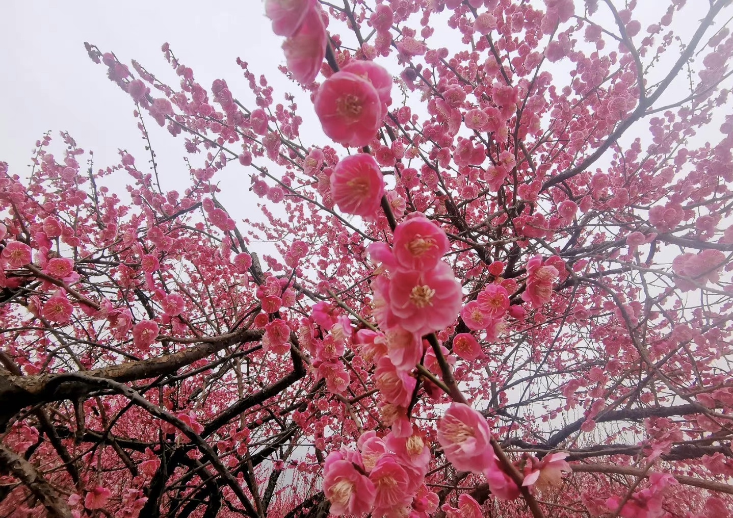 D070257E-00B1-4C0E-AE01-212496312C80.jpeg