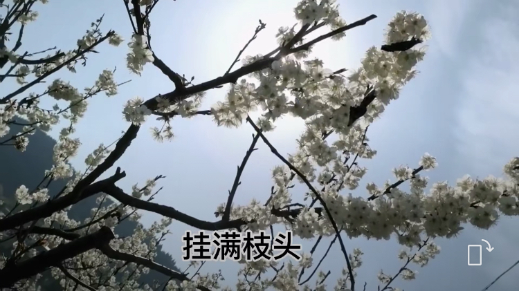 6D29CF33-D388-4AF9-A648-F861E5E3E453.jpeg