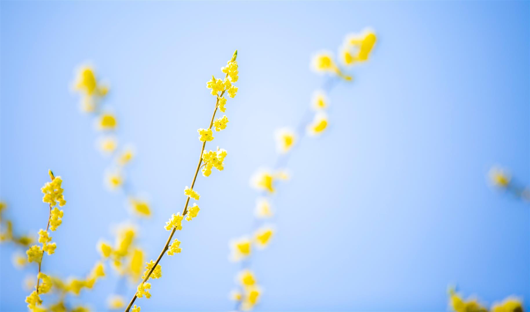 df7085c5-d209-4374-bd52-ed4b5d9f3f50.jpeg
