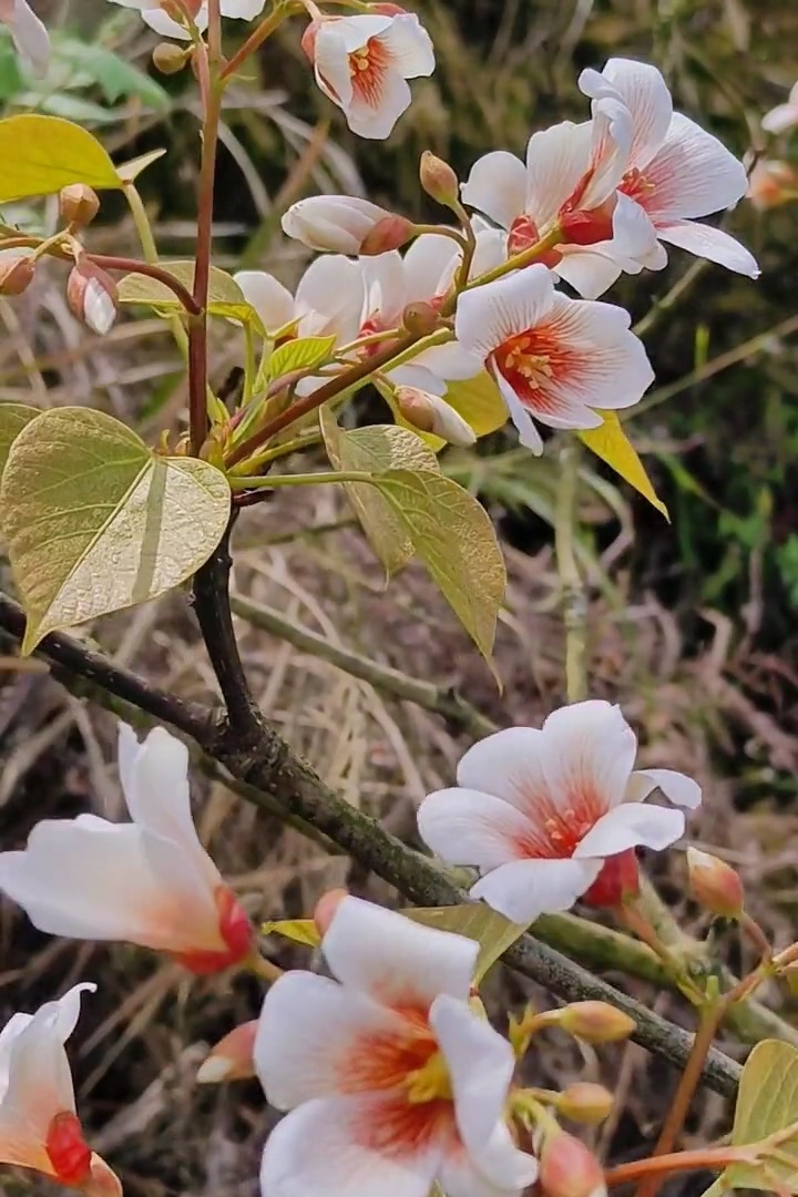 59.jpg