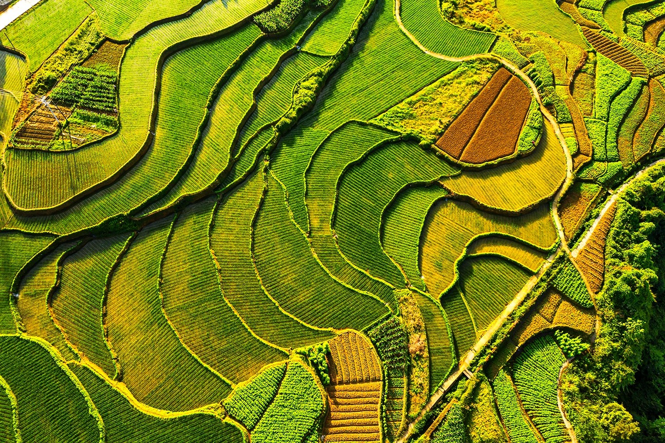 07b72eb1-a438-43a0-a615-b7d1d8e5a19b.jpg