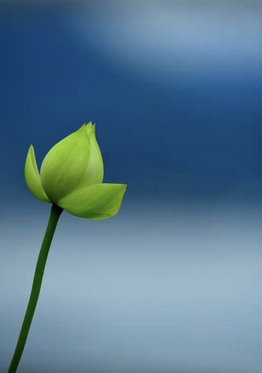 A2D8DE5D-F765-41BB-B192-5DE64B0B7B28.jpeg