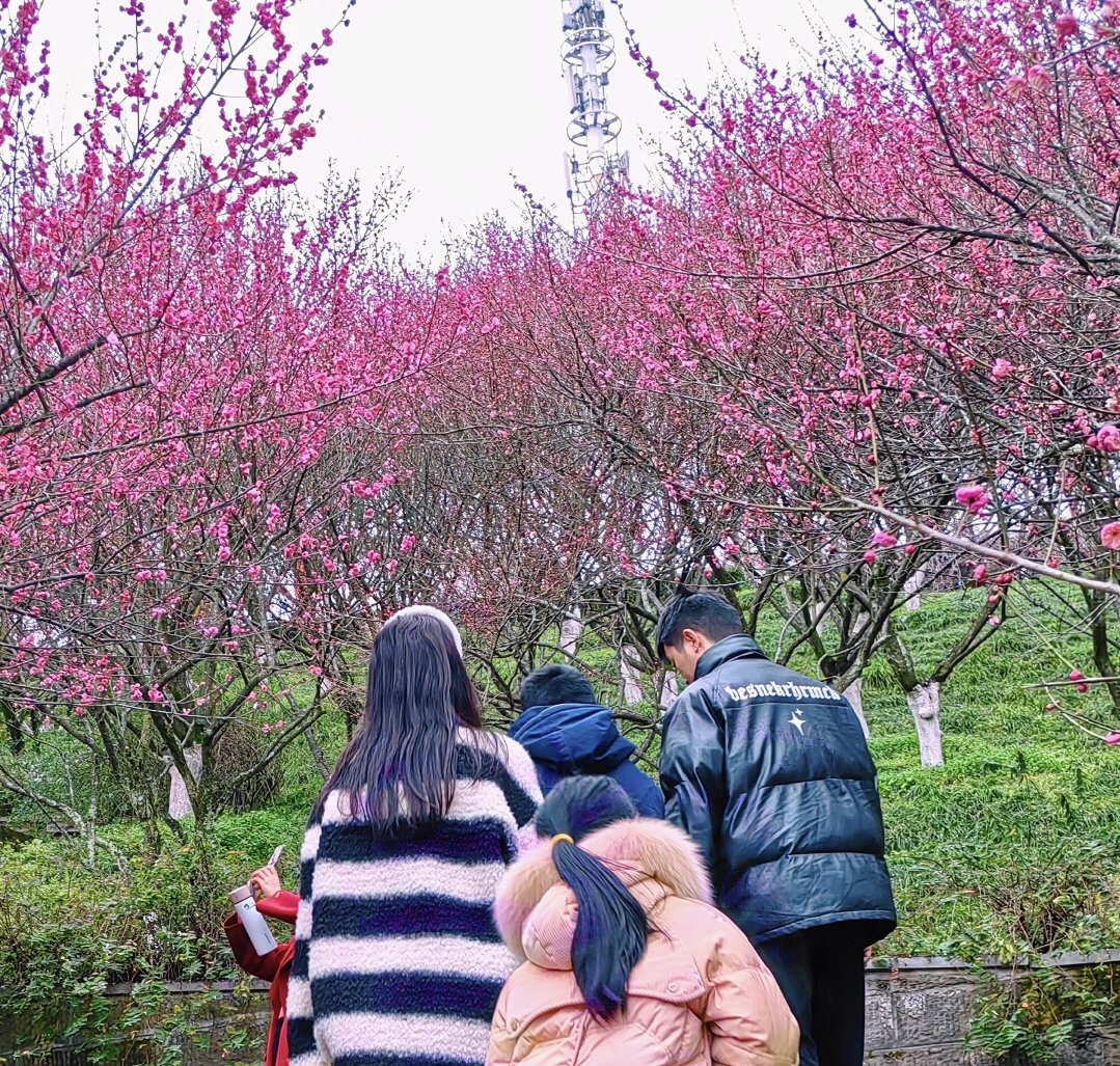 7D33A043-D876-4A33-B05E-D8C156799A46.jpeg