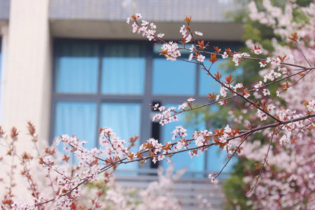 IMG_1106.jpeg
