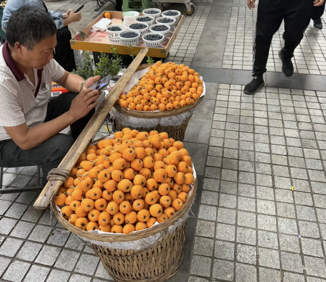IMG_1618.jpeg