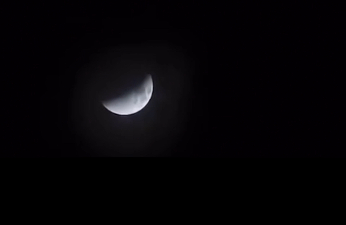 IMG_2539.jpeg